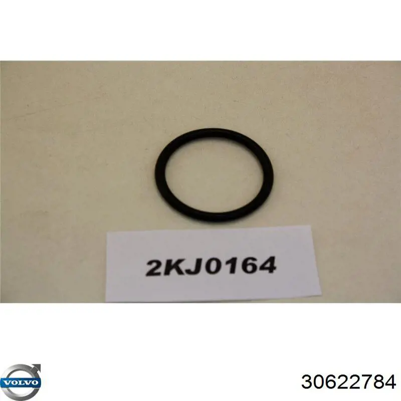 Compre 1338202 General Motors Vedante de bomba de água