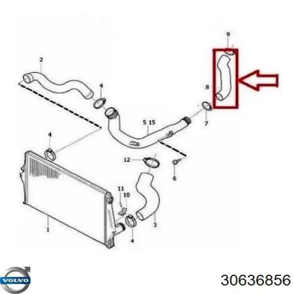 30636856 Volvo Mangueira (cano derivado) de intercooler