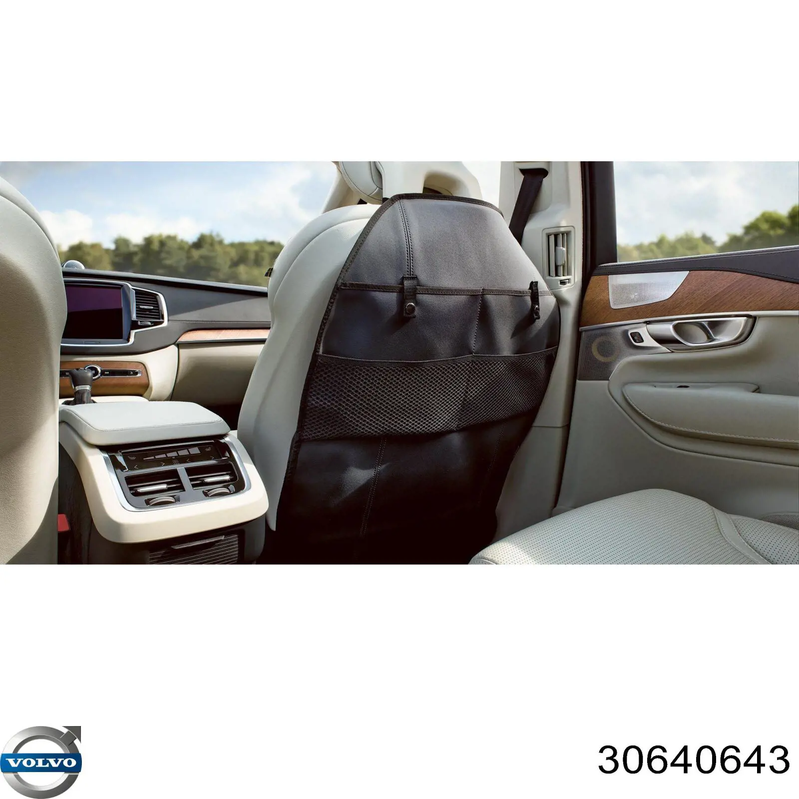 30640643 Volvo Suporte de acesso (fixação)
