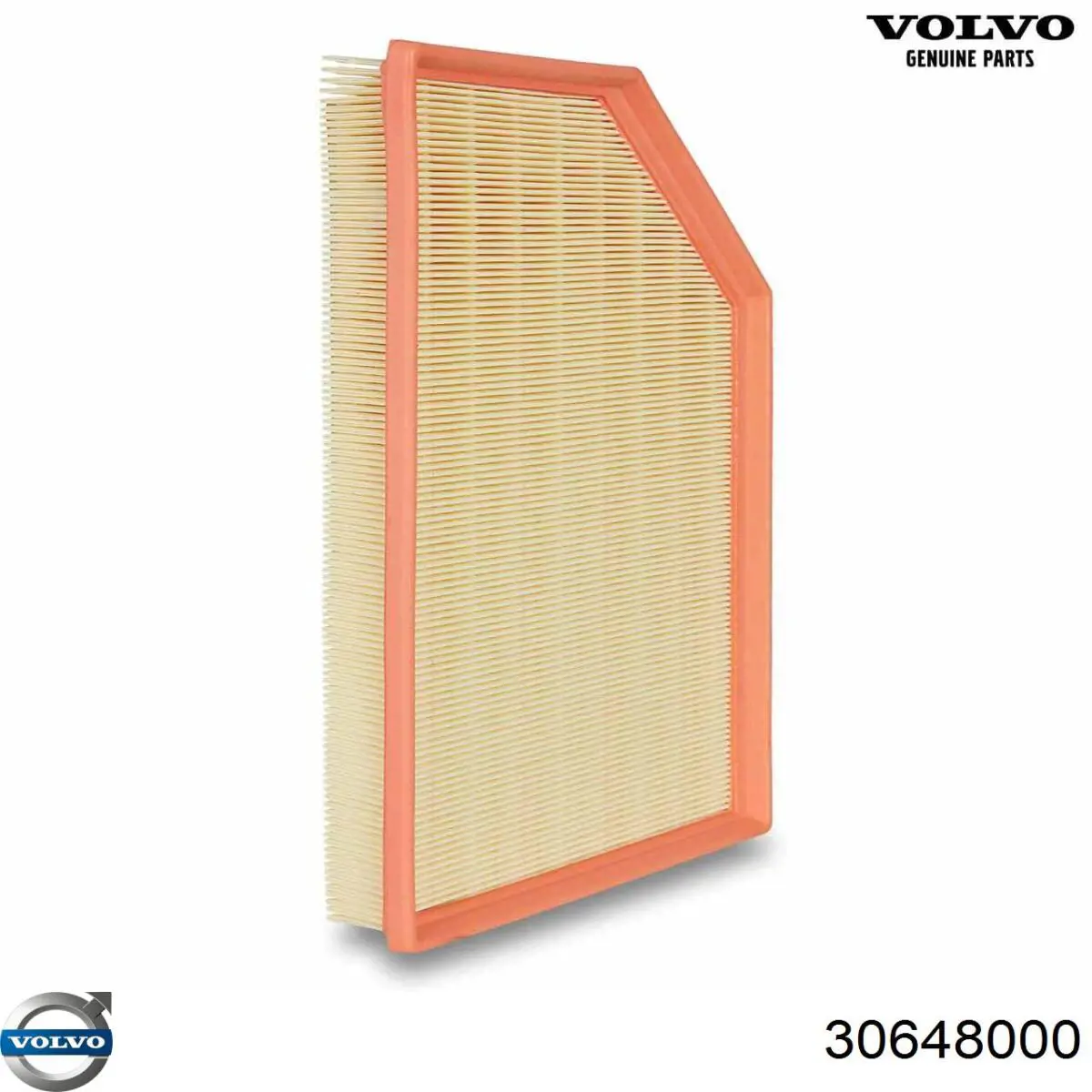 Compre 30648000 Volvo Filtro de ar