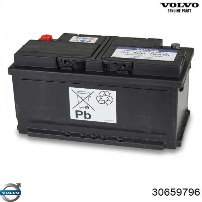 Compre 30659796 Volvo Bateria recarregável (PILHA)