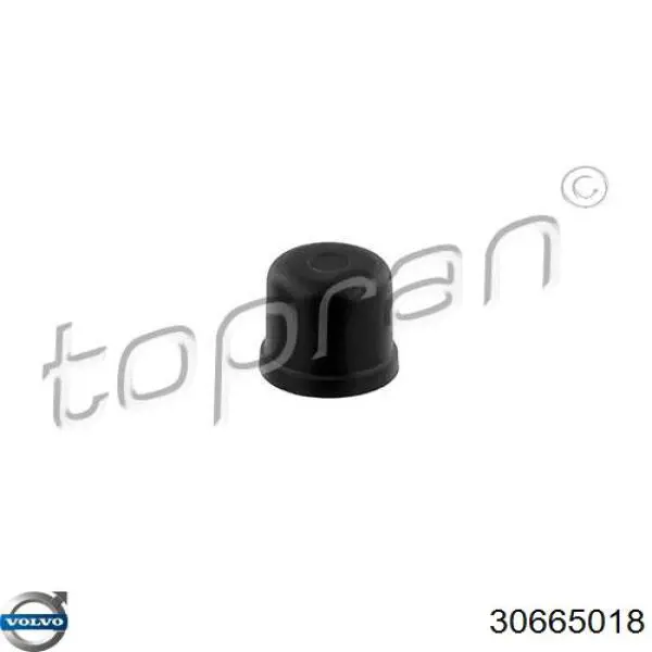  Volvo 30665018 preço, a partir de 8,14 USD