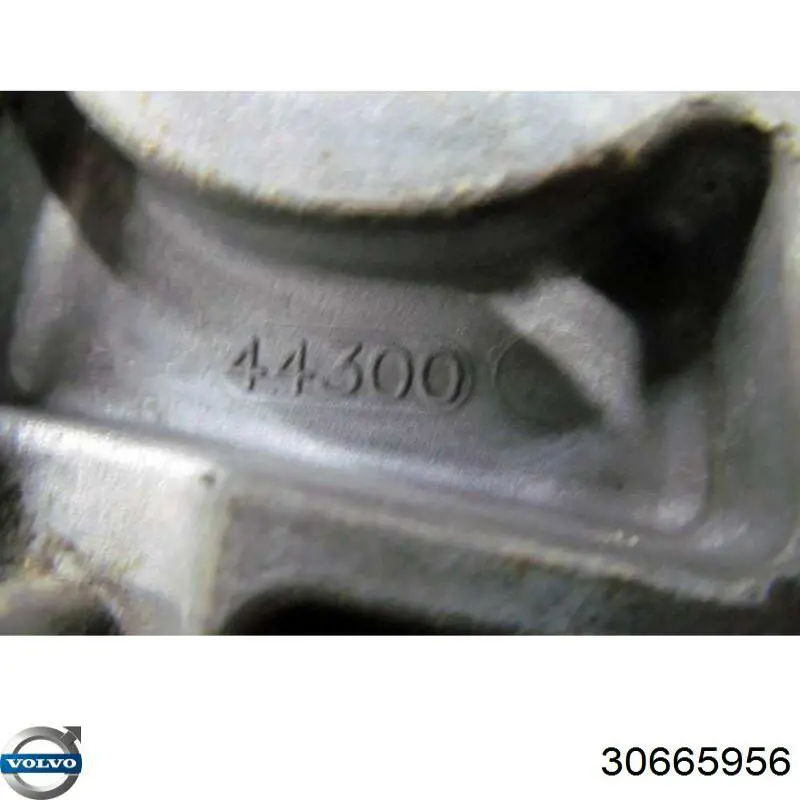 Compre 30665956 Volvo 