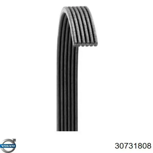Compre 30731808 Volvo Correia dos conjuntos de transmissão
