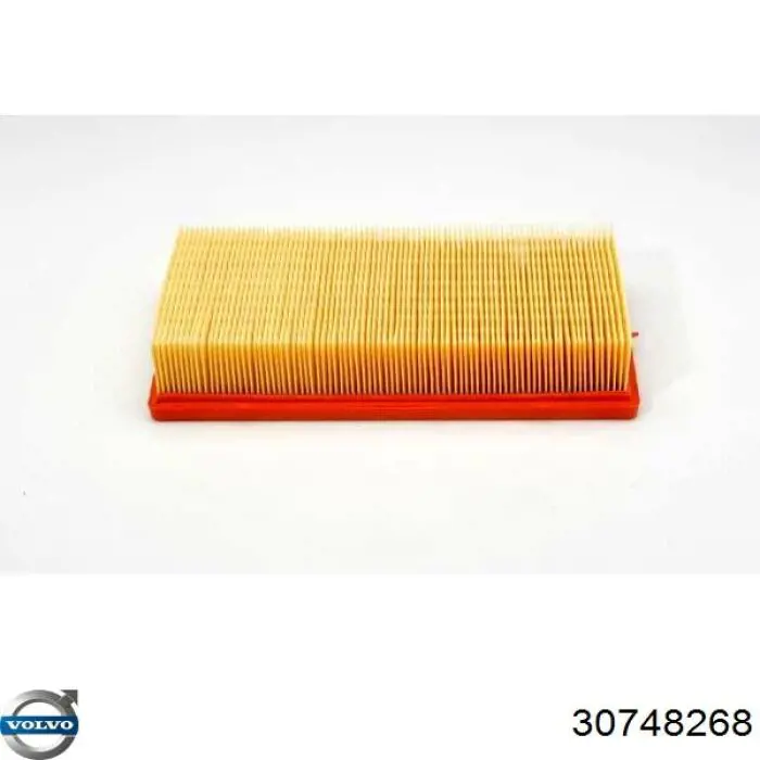 Compre 30748268 Volvo Filtro de ar