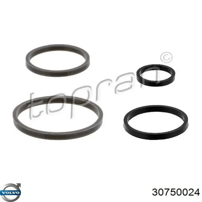 30750024 Volvo Vedante do radiador de óleo