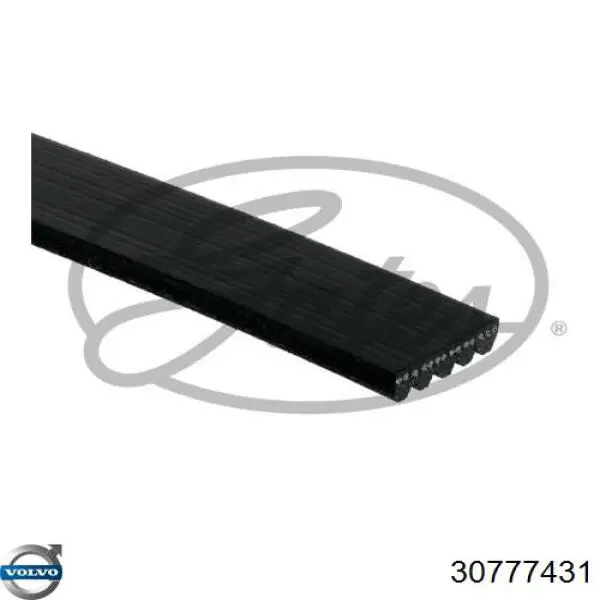 Correia dos conjuntos de transmissão Volvo 30777431 preço, a partir de 20,59 USD