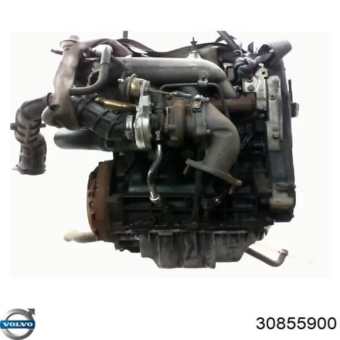Compre 30855900 Volvo 