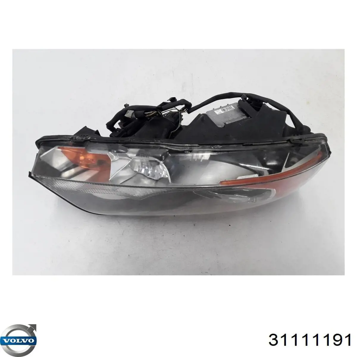 31111191 Volvo Luz direita