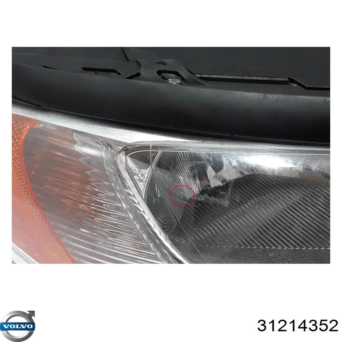 Compre 31214352 Volvo Luz direita