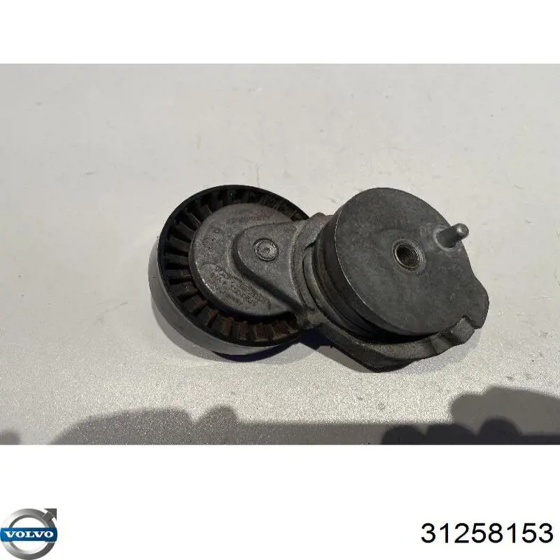 Reguladora de tensão da correia de transmissão Volvo 31258153 preço, a partir de 34,55 USD