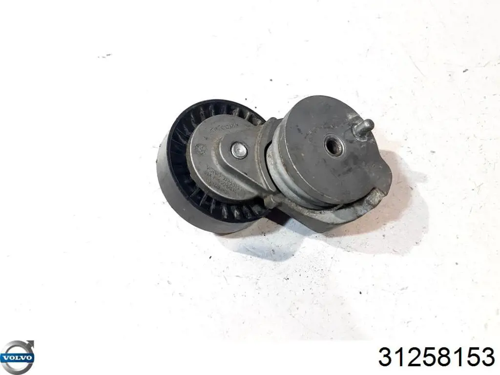 Compre 31258153 Volvo Reguladora de tensão da correia de transmissão
