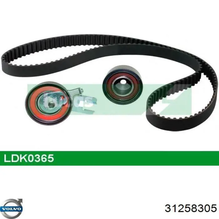 31258305 Volvo Correia do mecanismo de distribuição de gás, kit