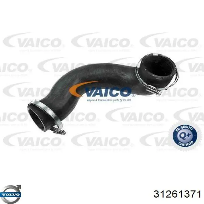 31261371 Volvo Mangueira (cano derivado) de intercooler