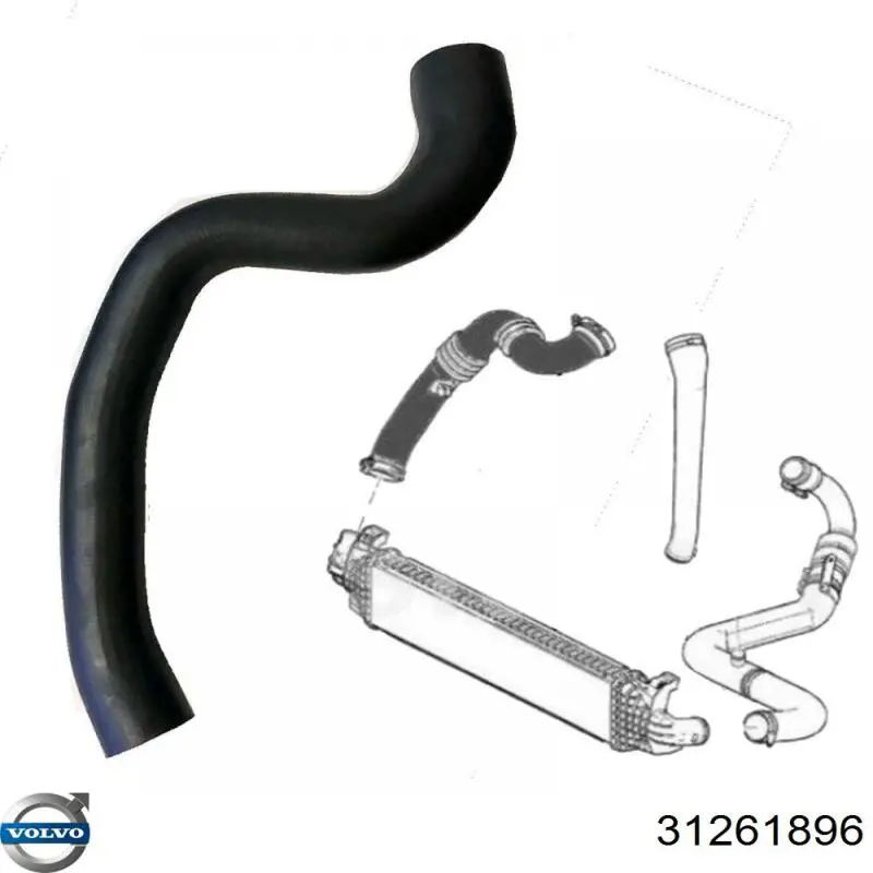 31261896 Volvo Mangueira (cano derivado) de intercooler