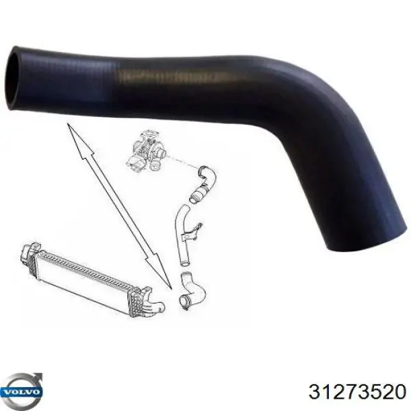 31273520 Volvo Mangueira (cano derivado) de intercooler