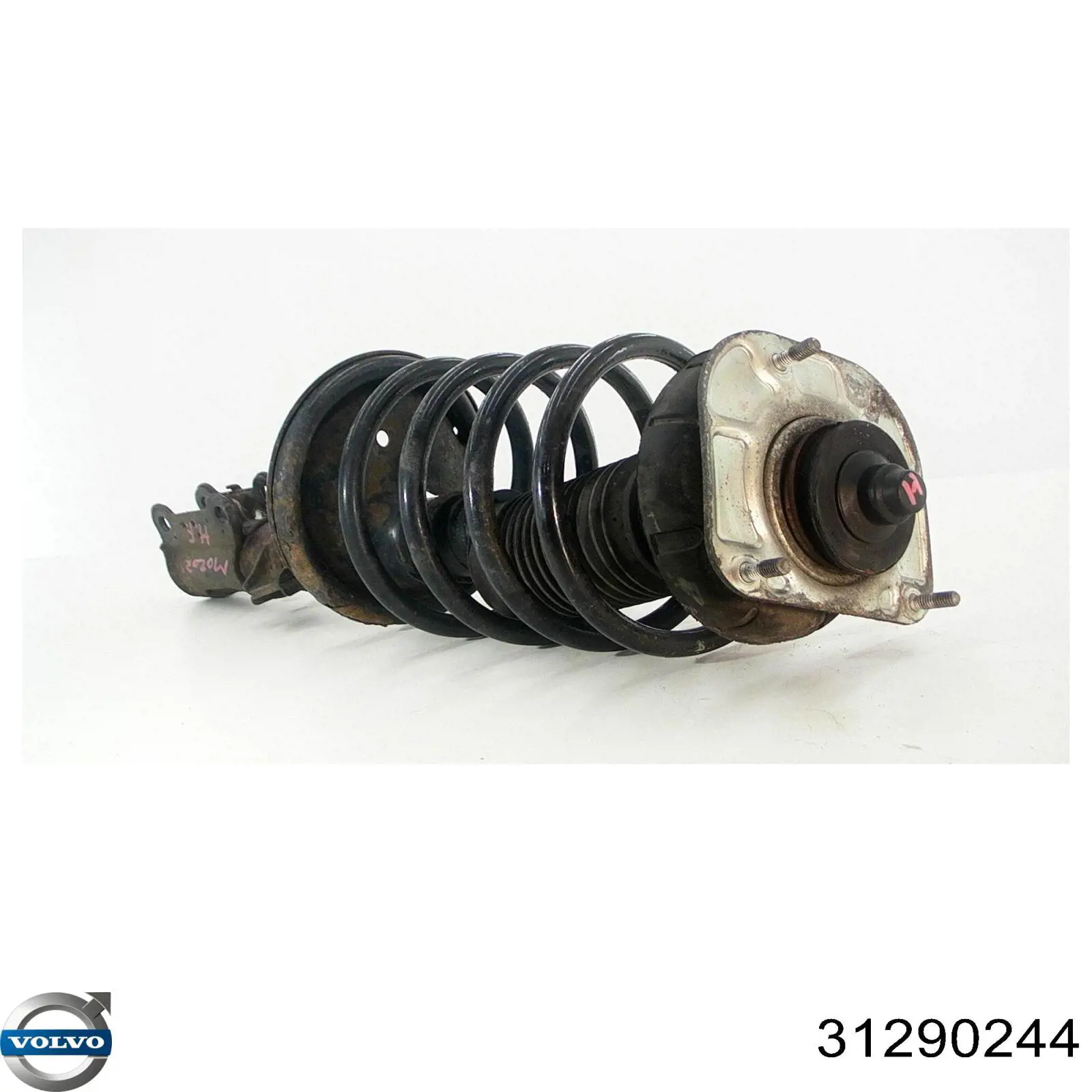 Compre 31290244 Volvo Amortecedor dianteiro