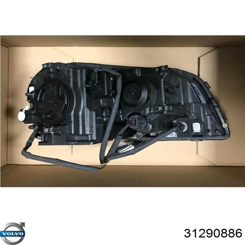 31290886 Volvo Luz esquerda
