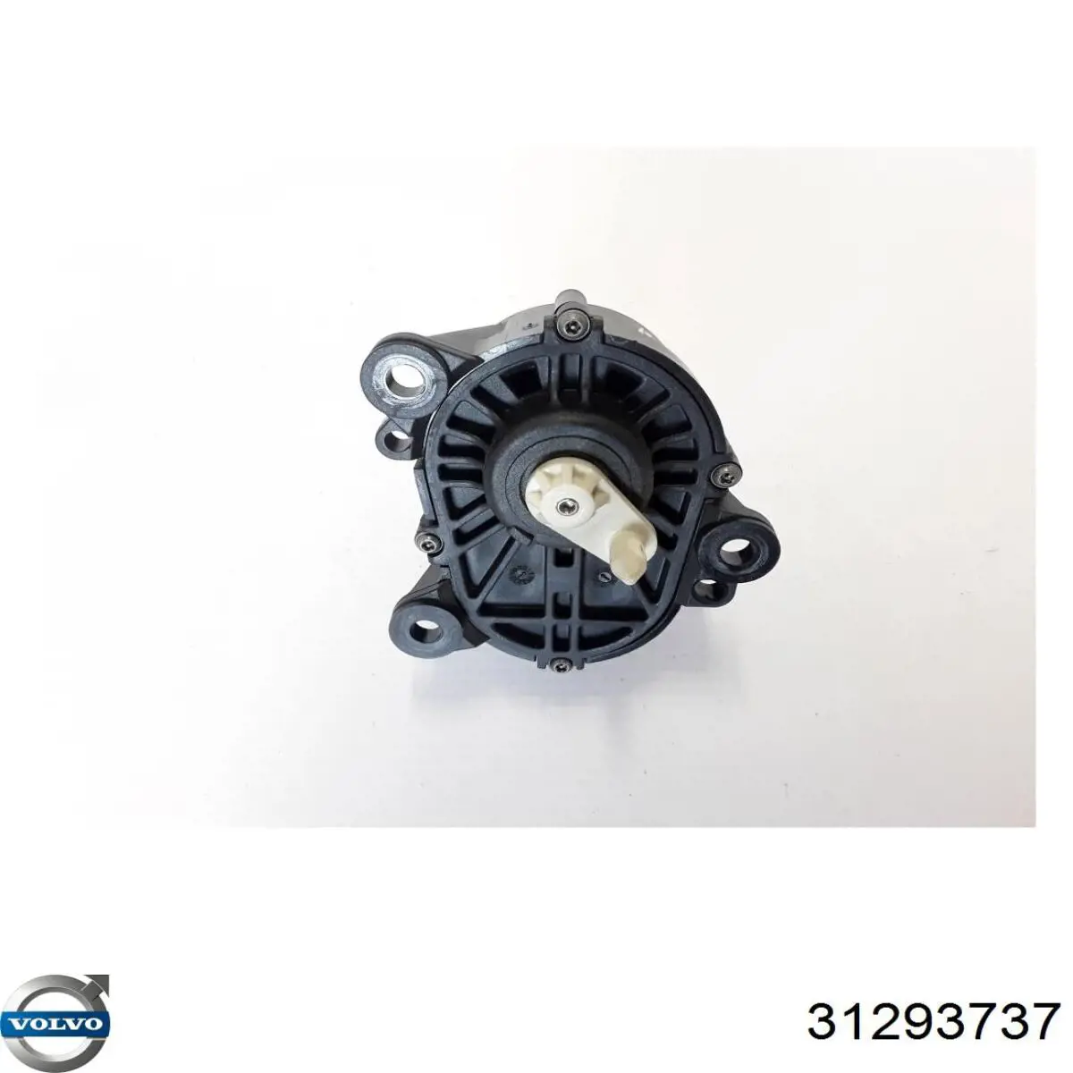  31293737 Volvo