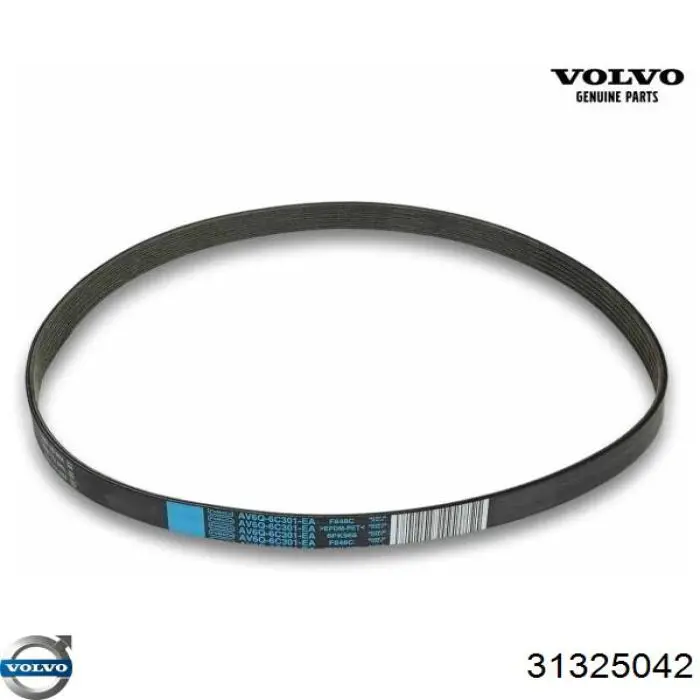Compre 31325042 Volvo Correia dos conjuntos de transmissão