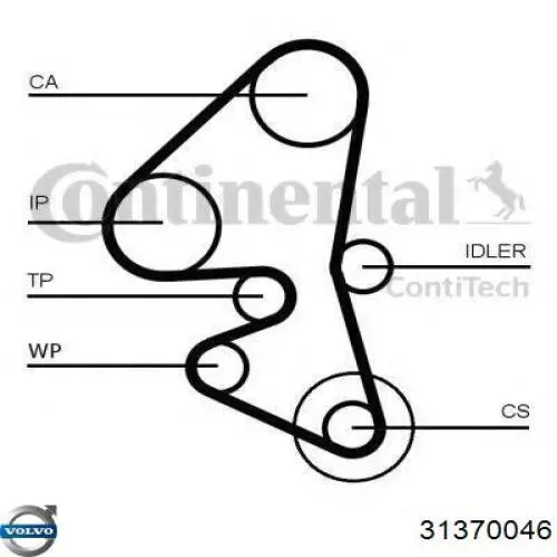Compre 31370046 Volvo Correia do mecanismo de distribuição de gás, kit