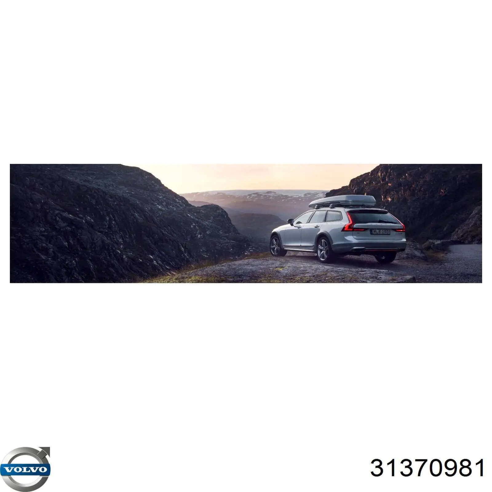 31370981 Volvo Vedante de válvula EGR de recirculação
