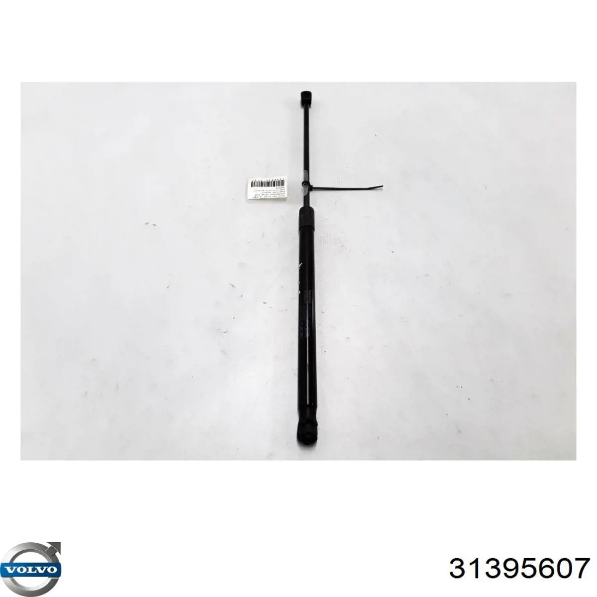 Compre ZS03112 Japan Parts Amortecedor de tampa de porta-malas (de 3ª/5ª porta traseira)