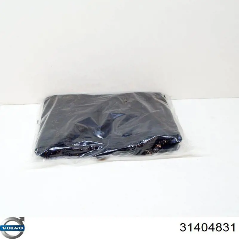 Compre 31263598 Volvo Malha da seção de bagagem