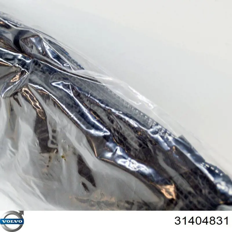 Malha da seção de bagagem 31263598 Volvo