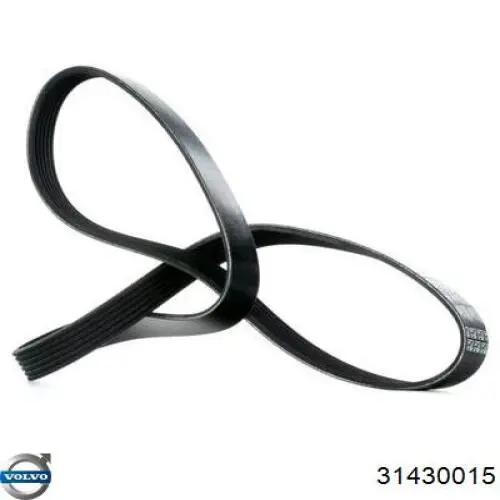 Compre 31430015 Volvo Correia dos conjuntos de transmissão