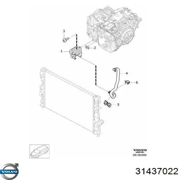 31437022 Volvo Radiador de esfriamento, Caixa Automática de Mudança