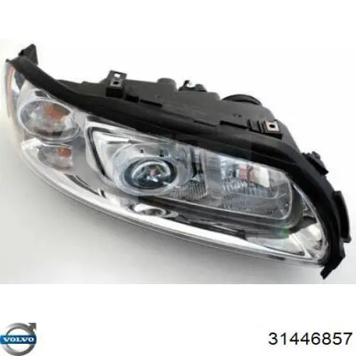 31446857 Volvo Luz direita
