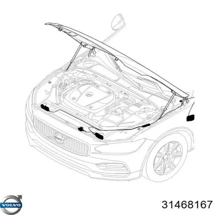 Capota 31468167 Volvo