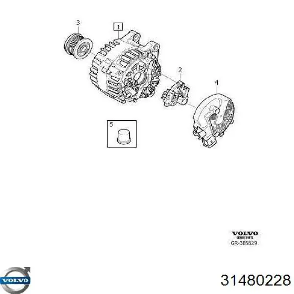 31480228 Volvo Polia do gerador