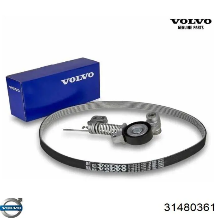 31480361 Volvo Correia dos conjuntos de transmissão, kit