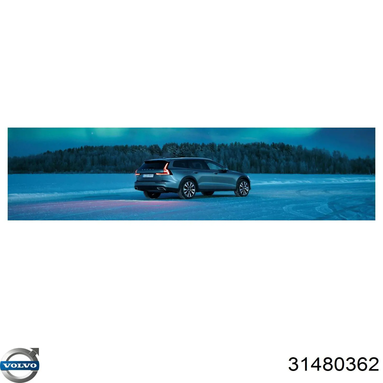 Compre KPV1061 Dayco Correia dos conjuntos de transmissão, kit