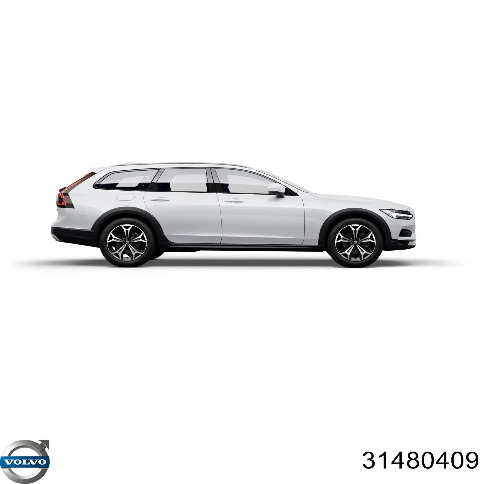 Correia dos conjuntos de transmissão, kit Volvo 31480409
