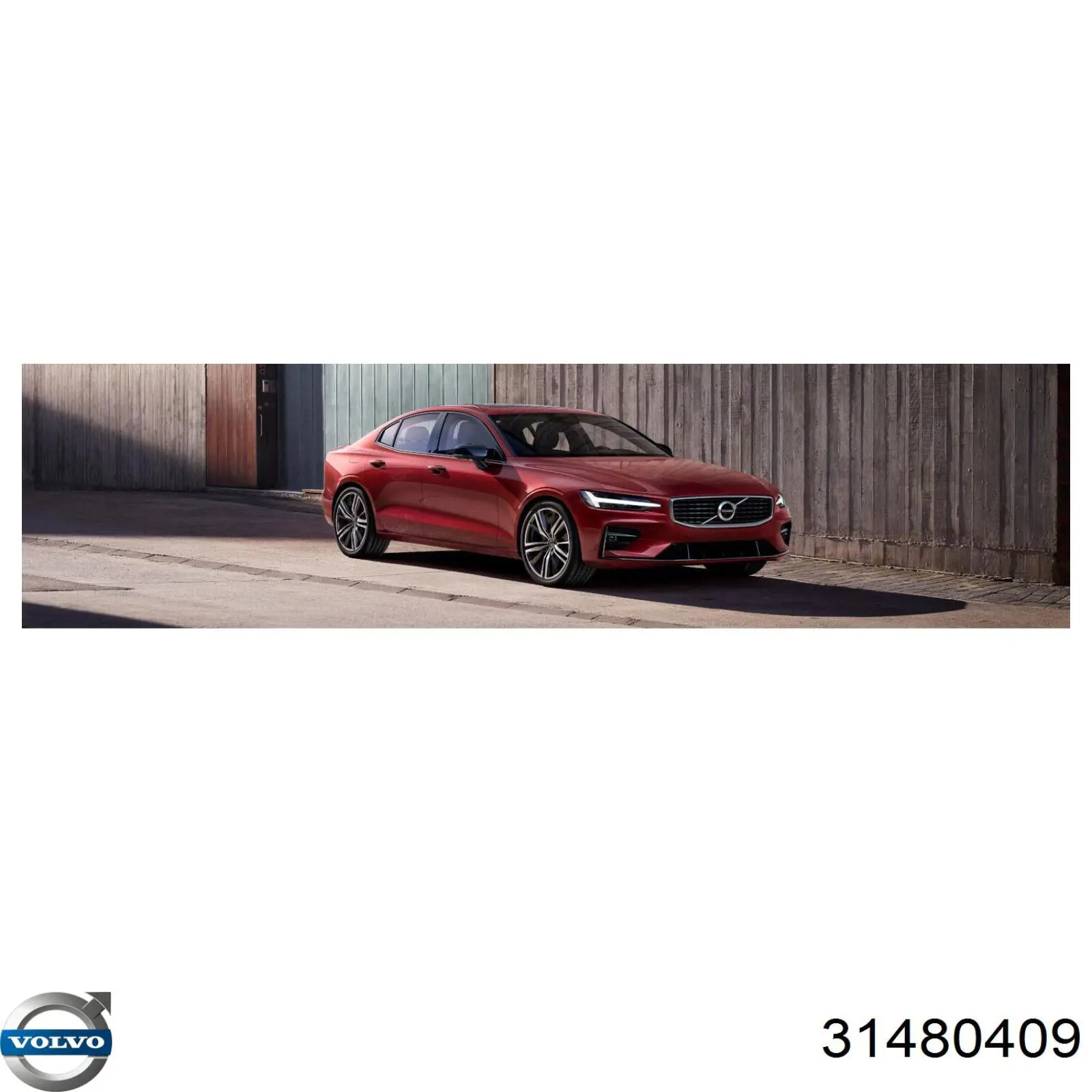 Correia dos conjuntos de transmissão, kit 31480409 Volvo