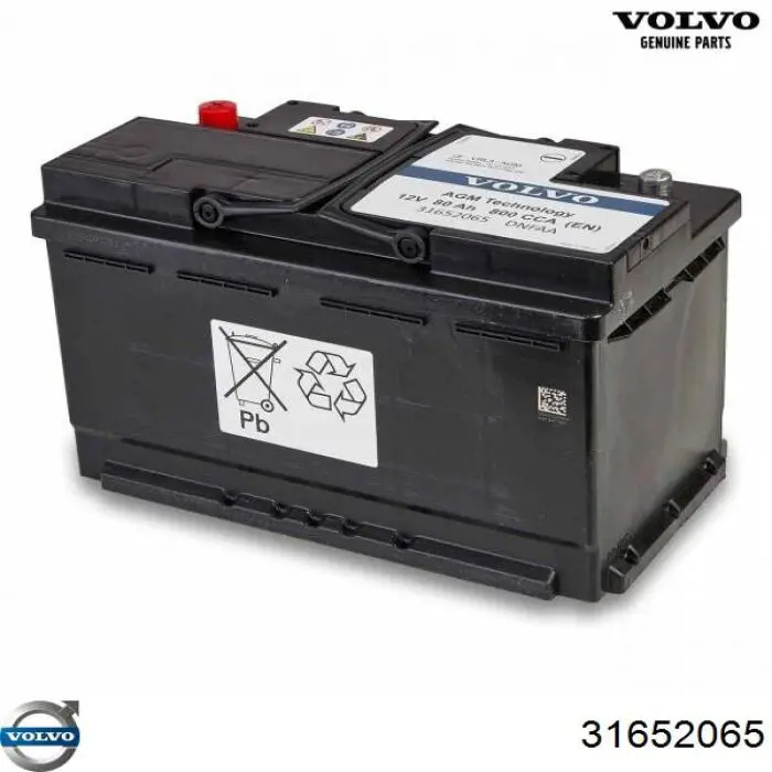 31419211 Volvo Bateria recarregável (PILHA)