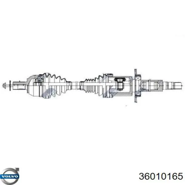 Compre 36010165 Volvo Junta homocinética interna dianteira direita