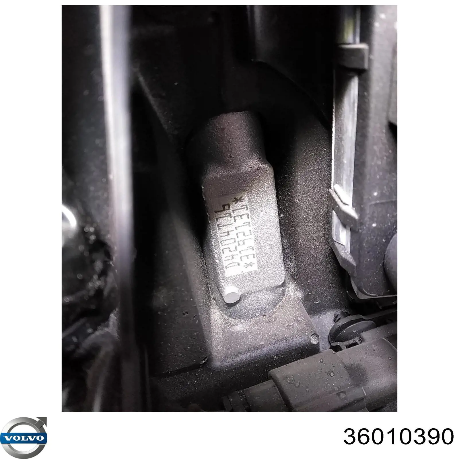 36010046 Volvo Bomba de combustível de pressão alta