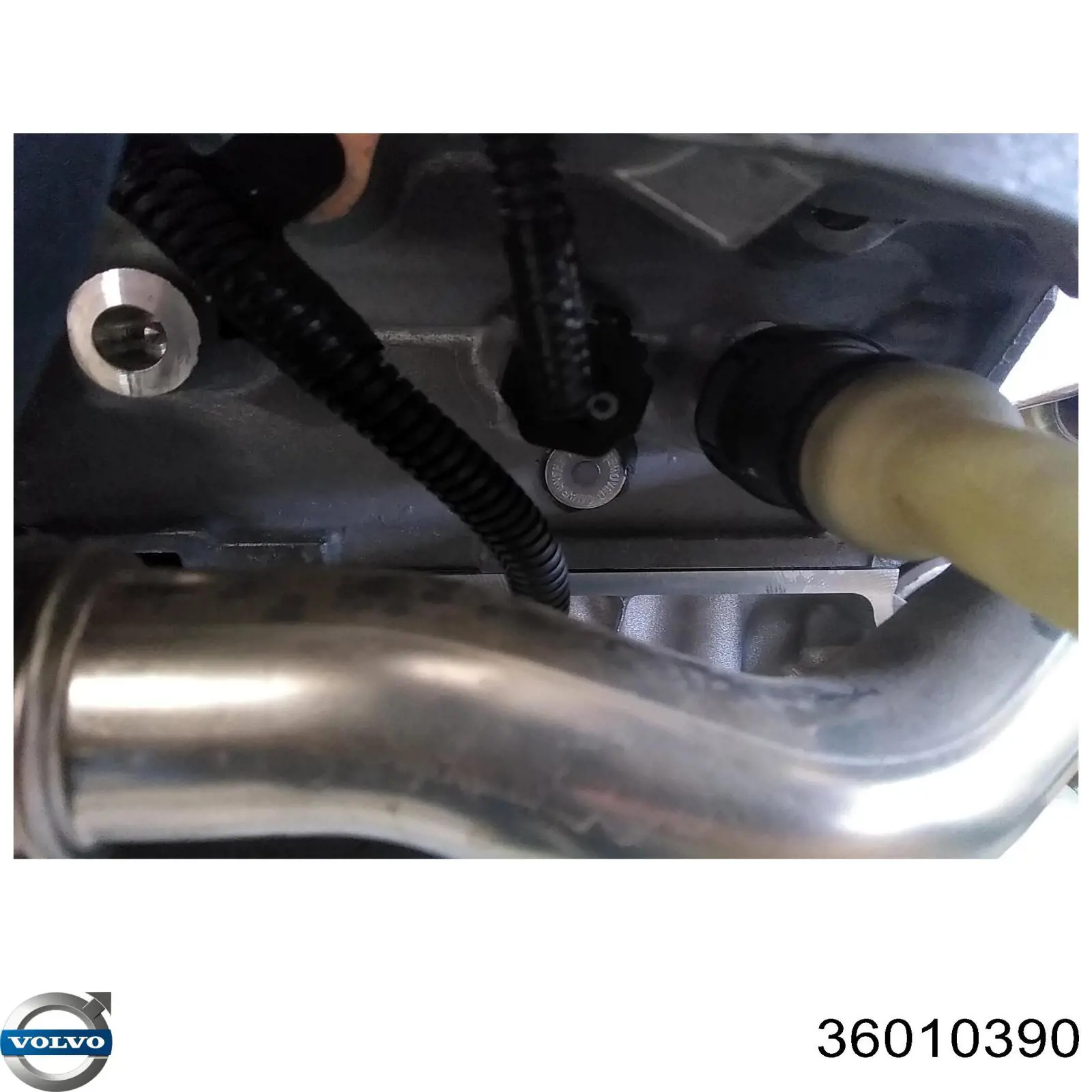 Compre 36010046 Volvo Bomba de combustível de pressão alta