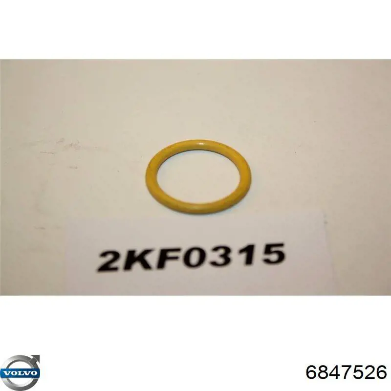6847526 Volvo Anel de vedação da guia de sonda do nível de óleo de motor
