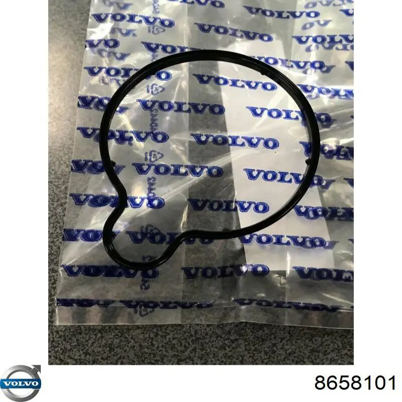 8658101 Volvo Vedante de bomba de vácuo