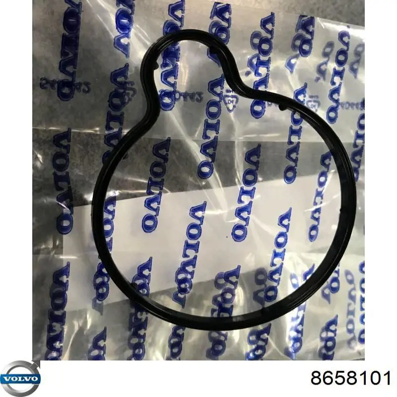 Vedante de bomba de vácuo Volvo 8658101 preço, a partir de 8,74 USD