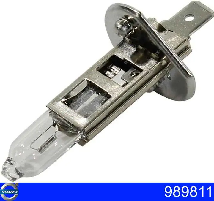 Compre 989811 Volvo Lâmpada halógena