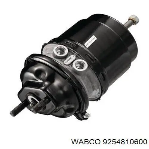 Compre 02243060X AIR Fren Câmara do freio (Acumulador de energia)