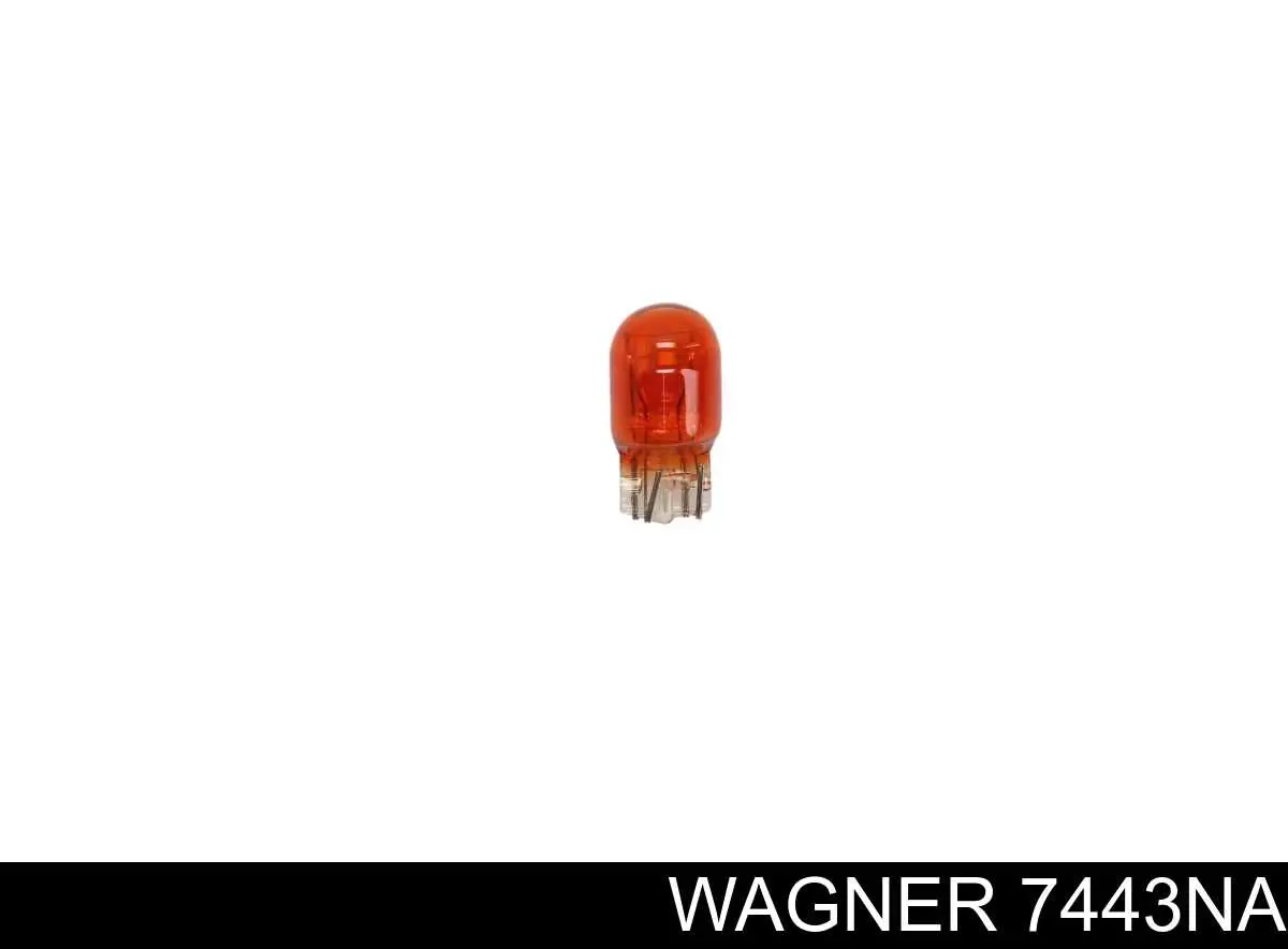 Lâmpada de pisca-pisca Chrysler L0007444NA preço, a partir de 8,56 USD