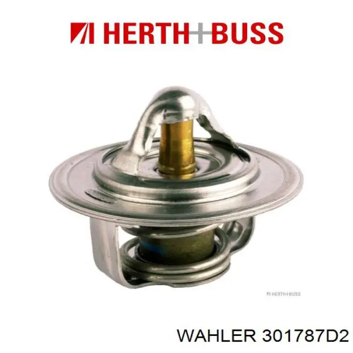 Termostato 301787D2 Wahler