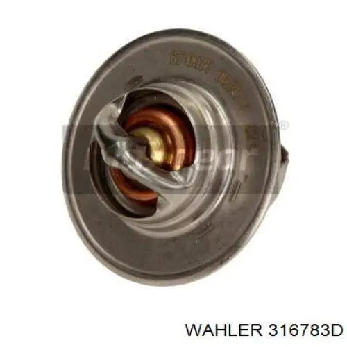 Compre 316783D Wahler Termostato